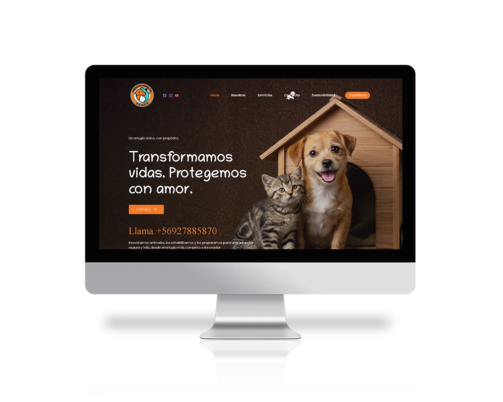 Páginas web